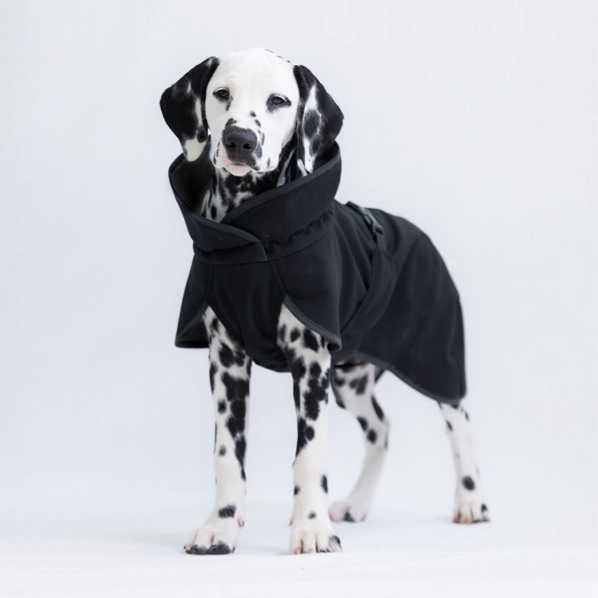 PAIKKA Recovery Softshell-takki, musta