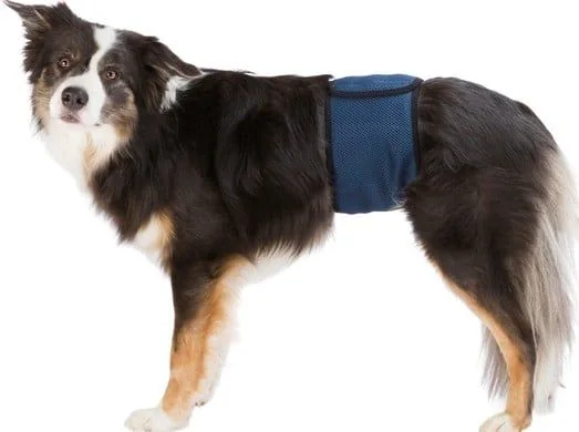 Trixie Washable Nappies for Male Dogs S Waist 29-37cm
