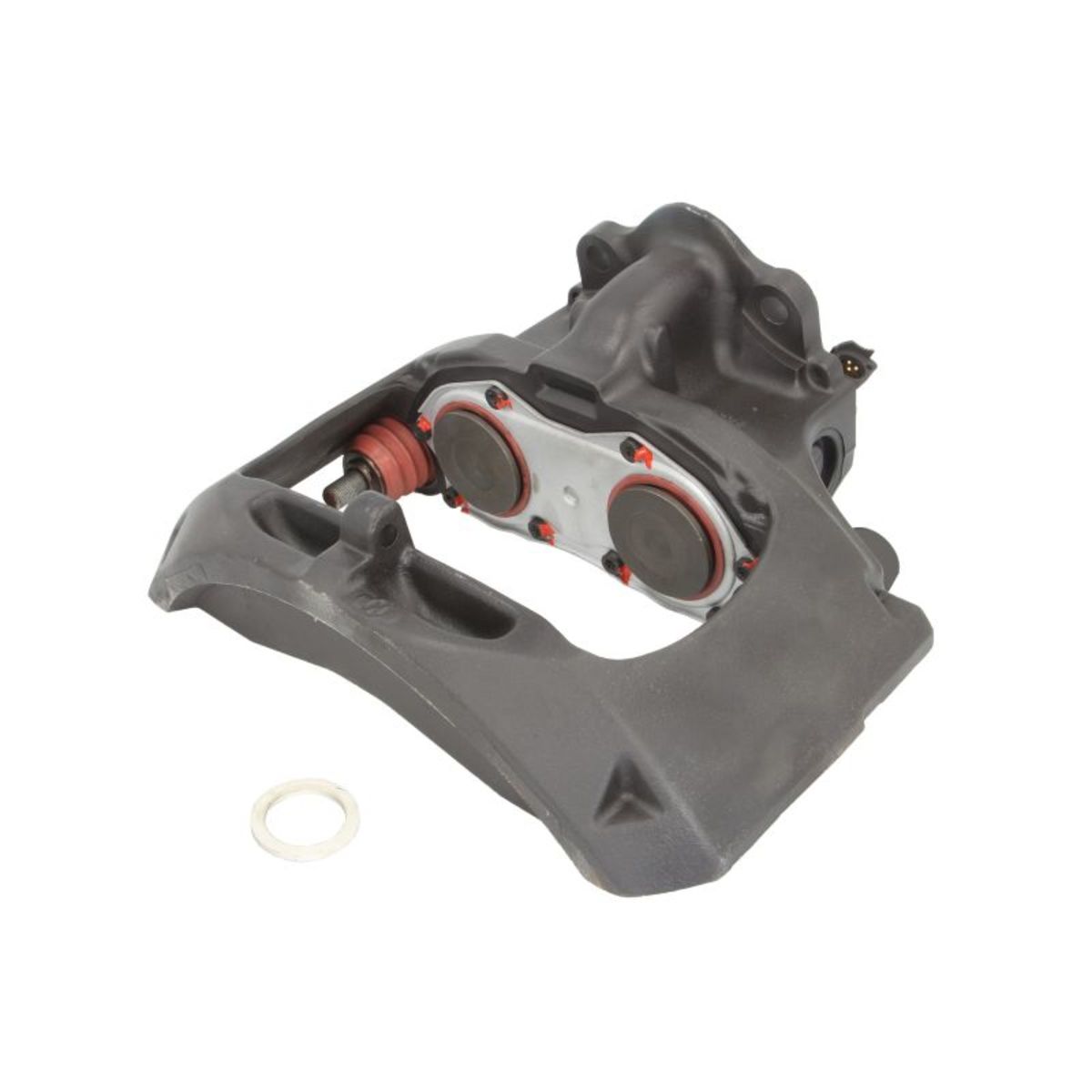 Jarrusatula SBP TEQ-MA.005