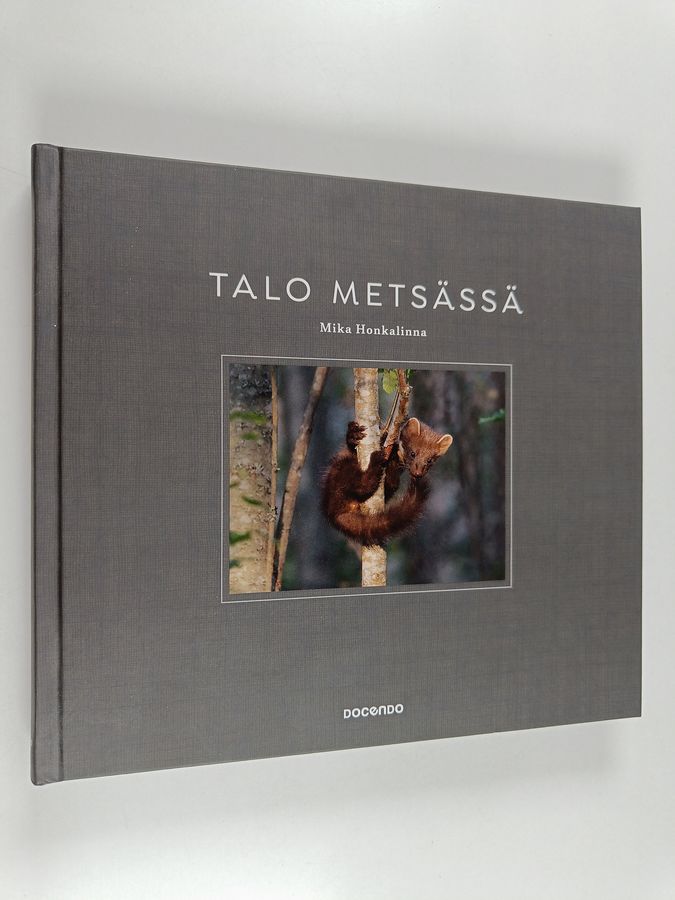 Talo metsässä