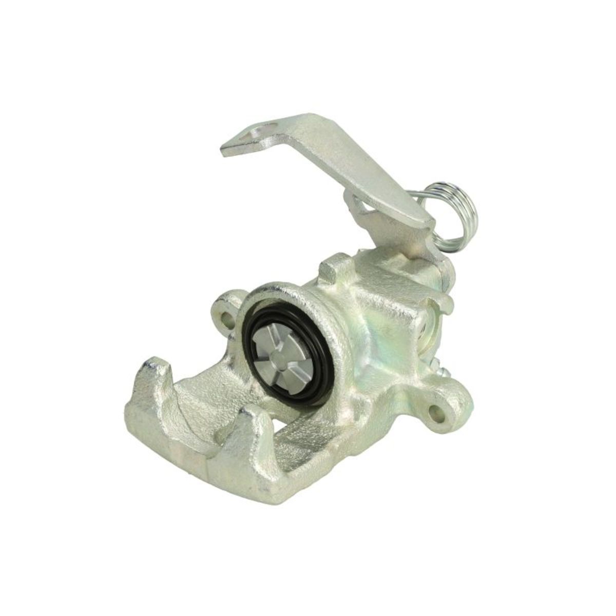 Jarrusatula BUDWEG CALIPER 344706