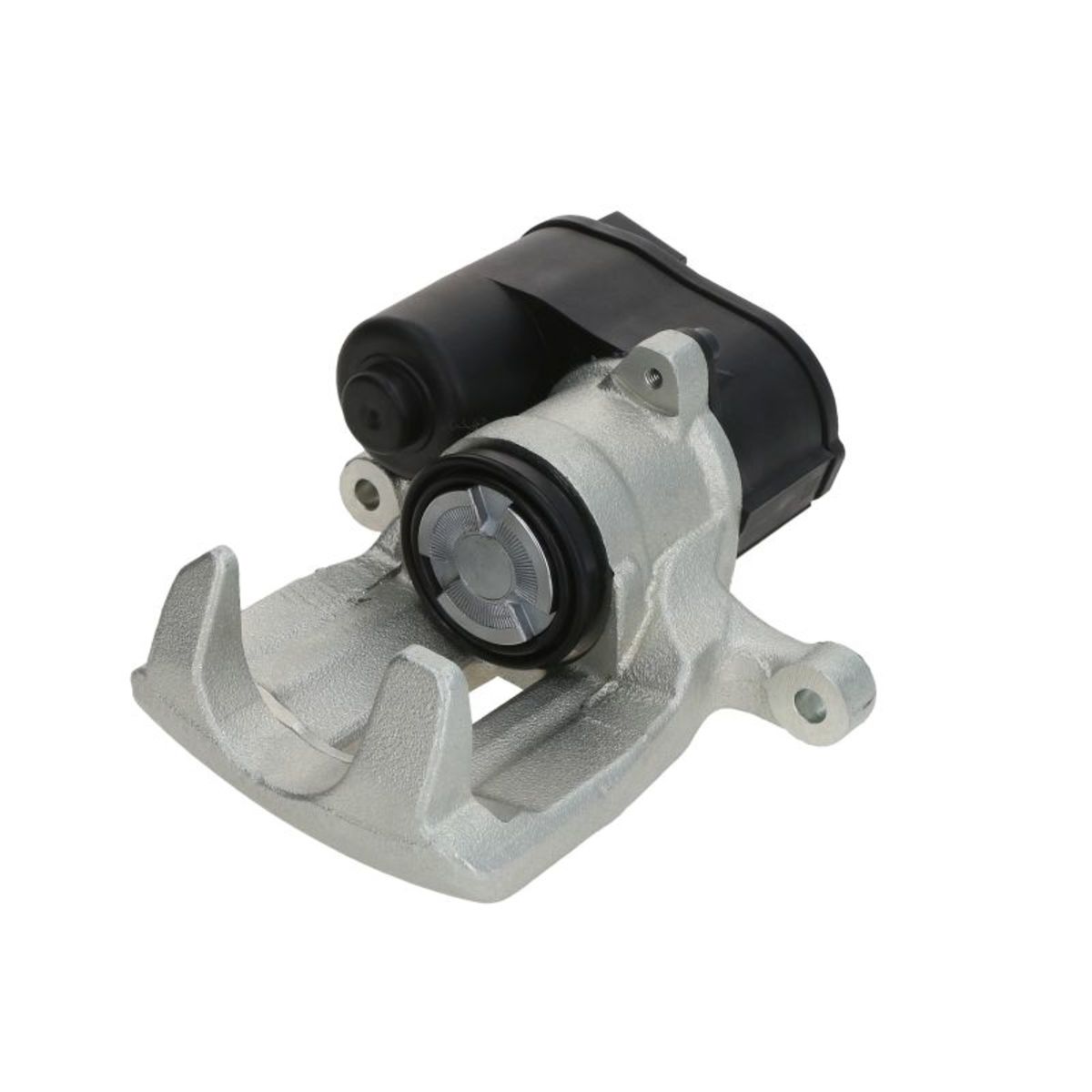 Jarrusatula BUDWEG CALIPER 344279