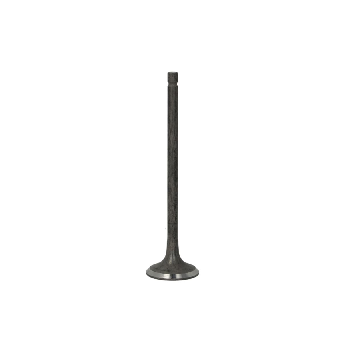 Pakoventtiili FRECCIA R6604/RNT