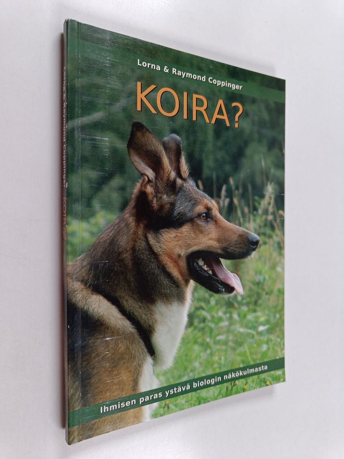 Koira?
