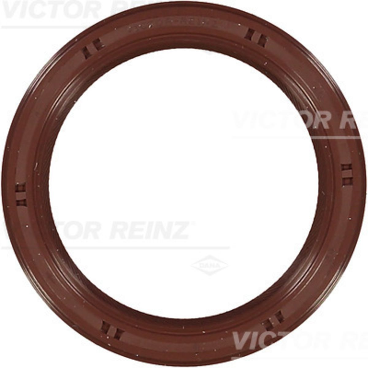 Akselitiiviste, kampiakseli REINZ 81-35144-00