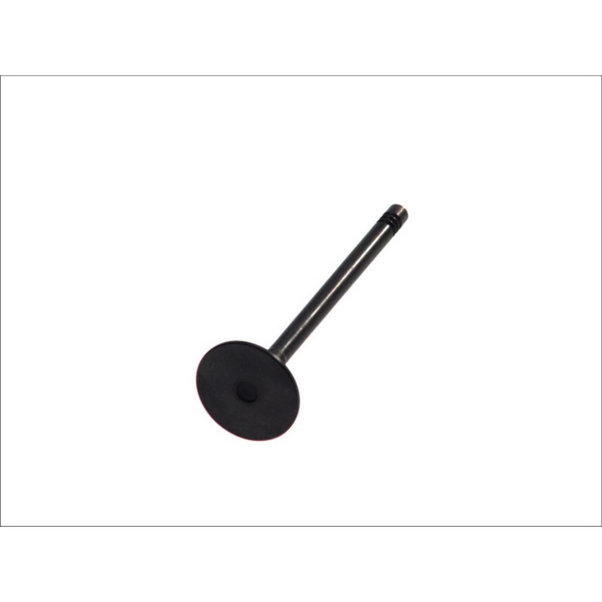 Imuventtiili FRECCIA R6447/SNT