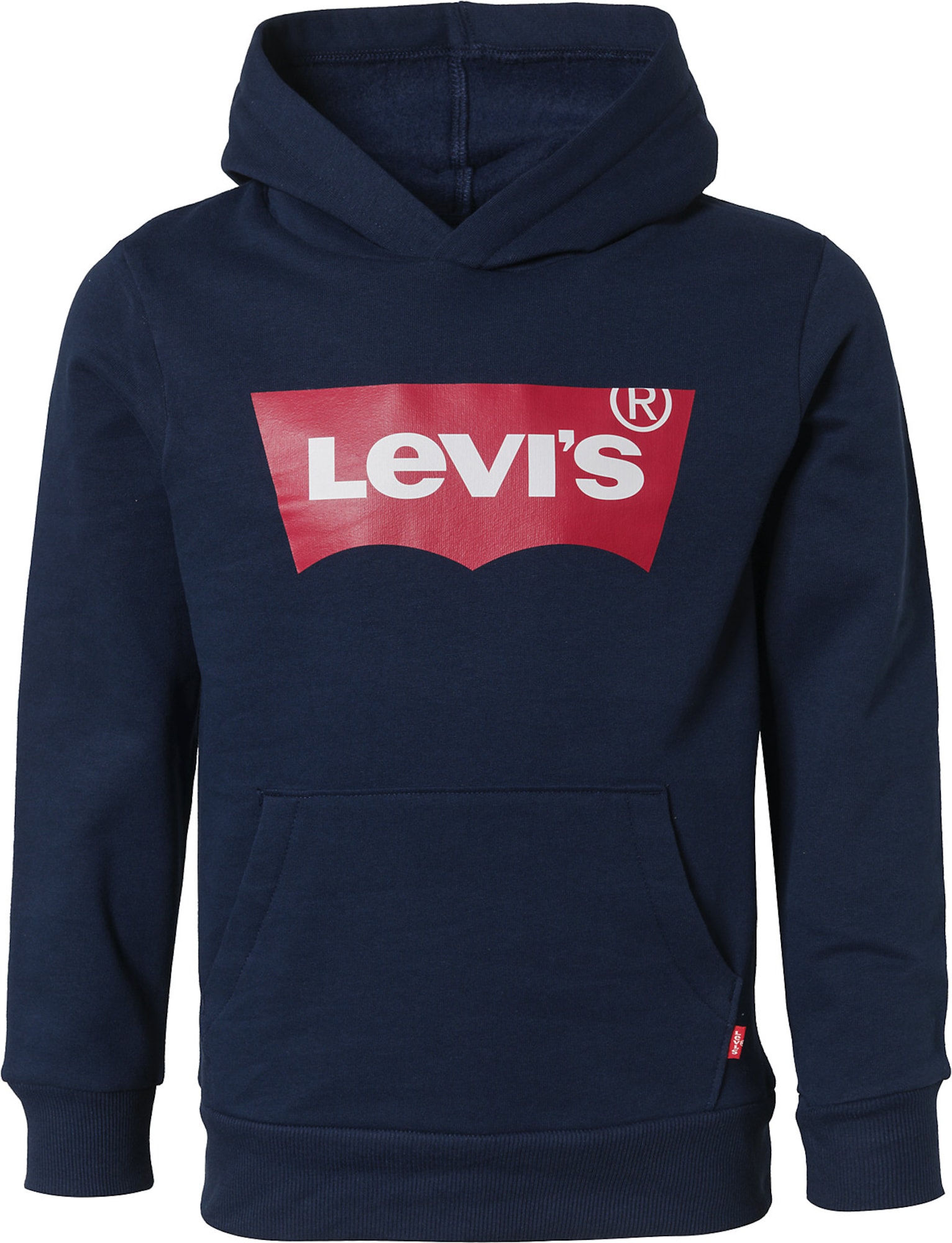 Hupparit Levis BATWING SCREENPRINT HOODIE 10 vuotta