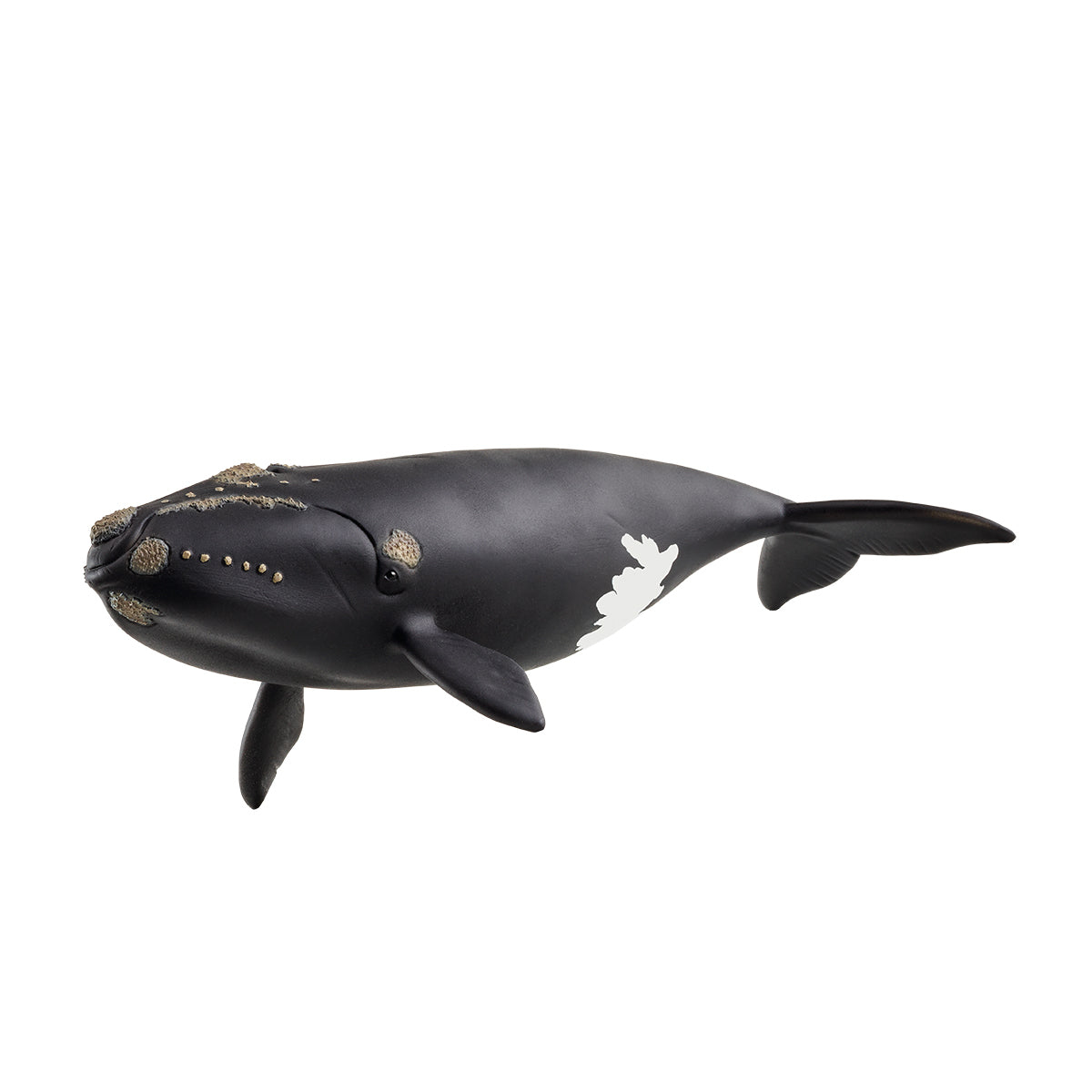 schleich WILD LIFE 14878, 3 vuosi/vuosia, Ice & Ocean, Wild animals / adventure toys, Monivärinen