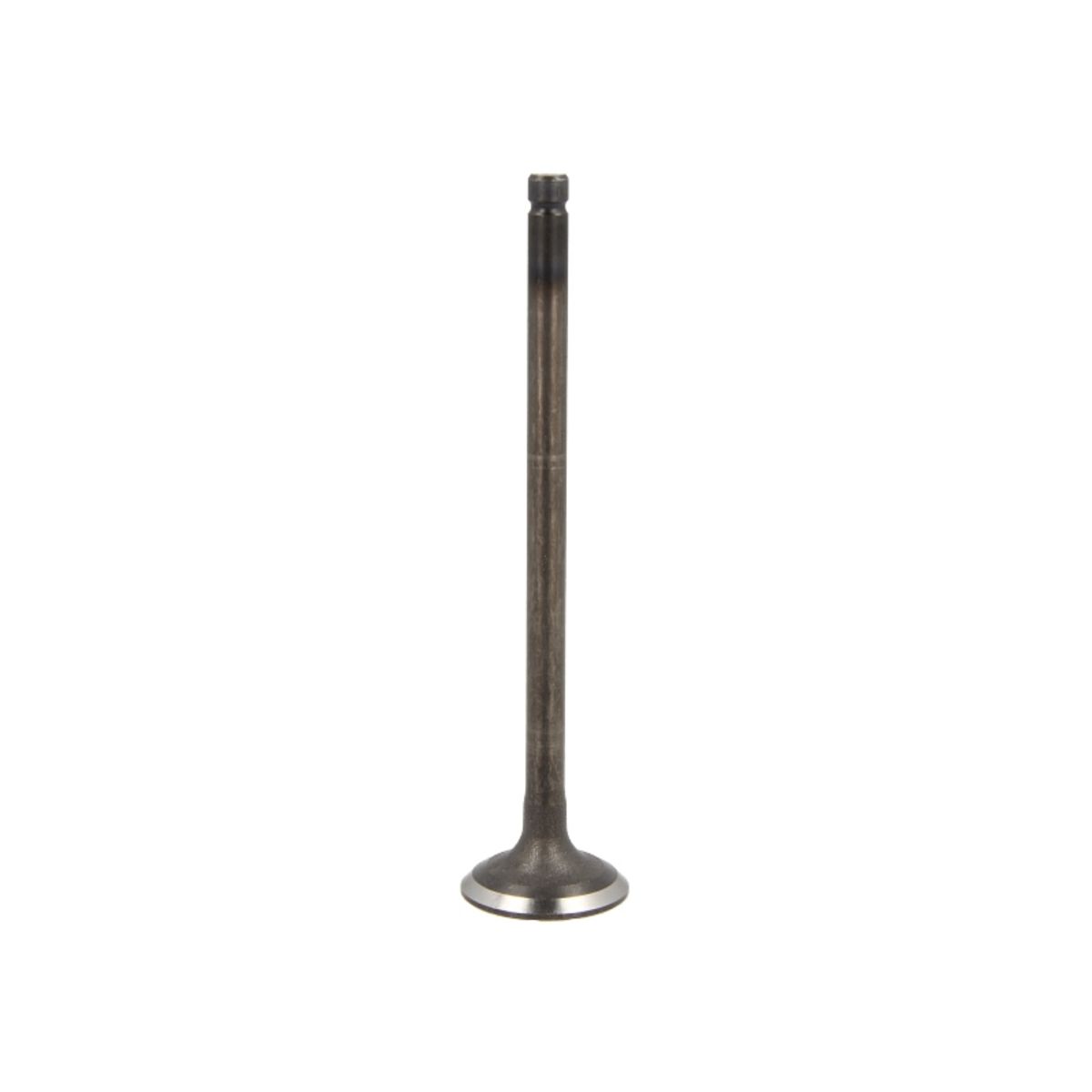 Imuventtiili FRECCIA R6568/SNT