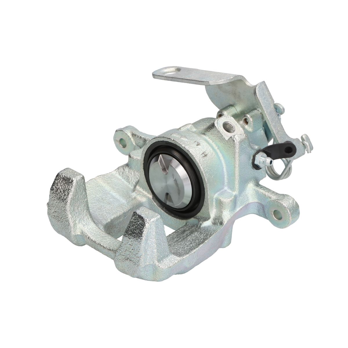 Jarrusatula BUDWEG CALIPER 344924