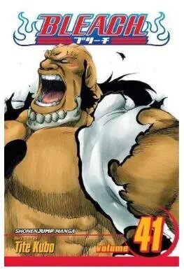 Bleach, Vol. 41