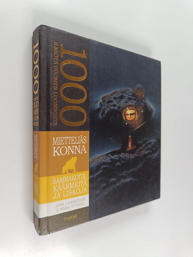 Mietteliäs konna