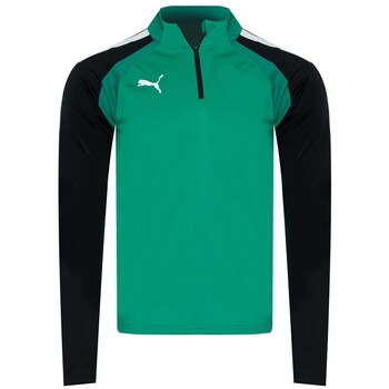 PUMA Urheilullinen collegepaita 'Team Liga' vihreä / musta