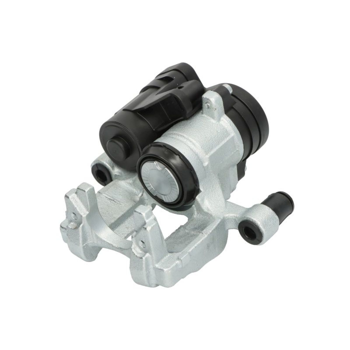 Jarrusatula BUDWEG CALIPER 344836