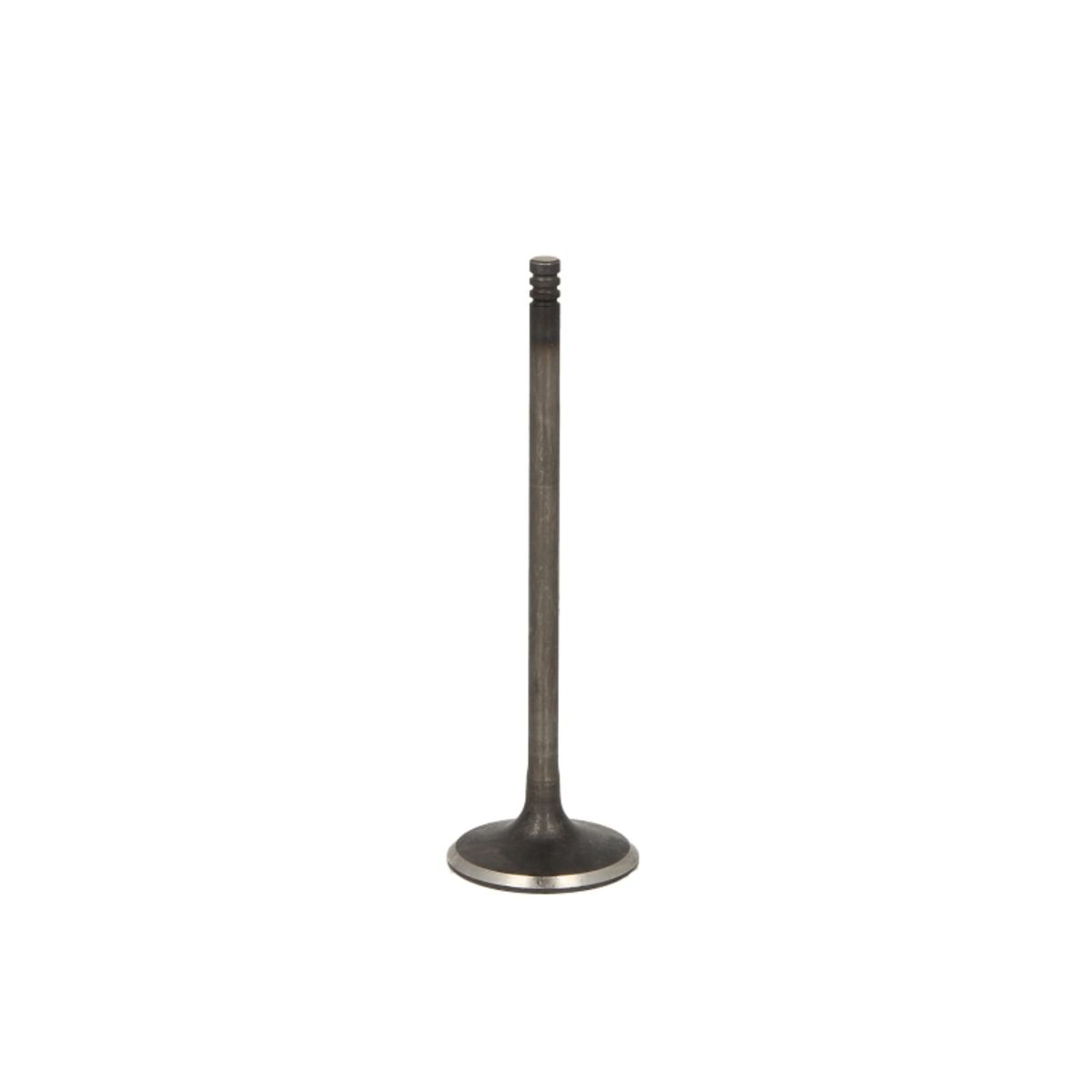 Imuventtiili FRECCIA R6720/SNT