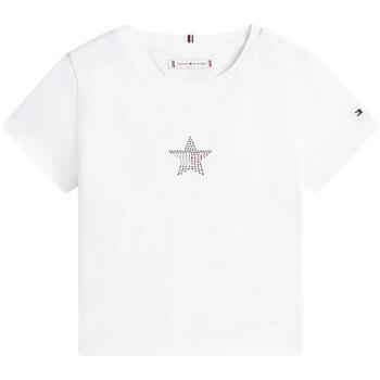 TOMMY HILFIGER Paita laivastonsininen / punainen / läpinäkyvä / valkoinen