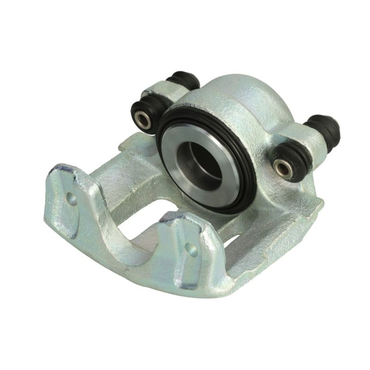 Jarrusatula BUDWEG CALIPER 343858