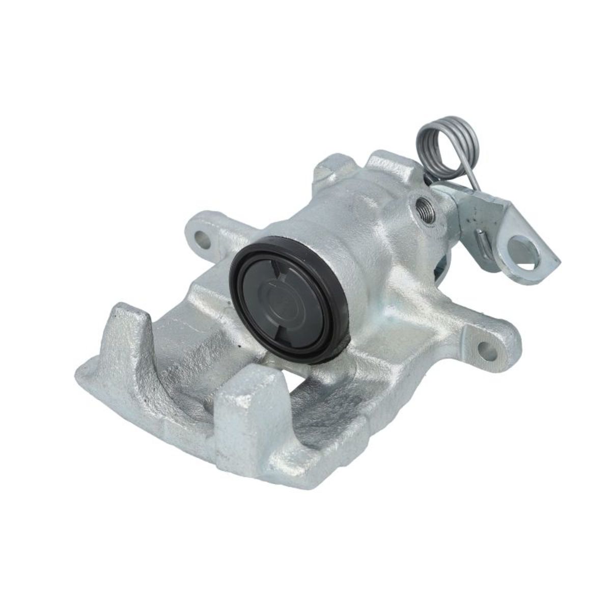 Jarrusatula BUDWEG CALIPER 342825