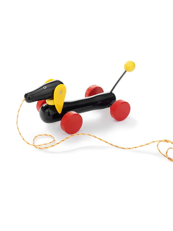 Brio Mäyräkoira