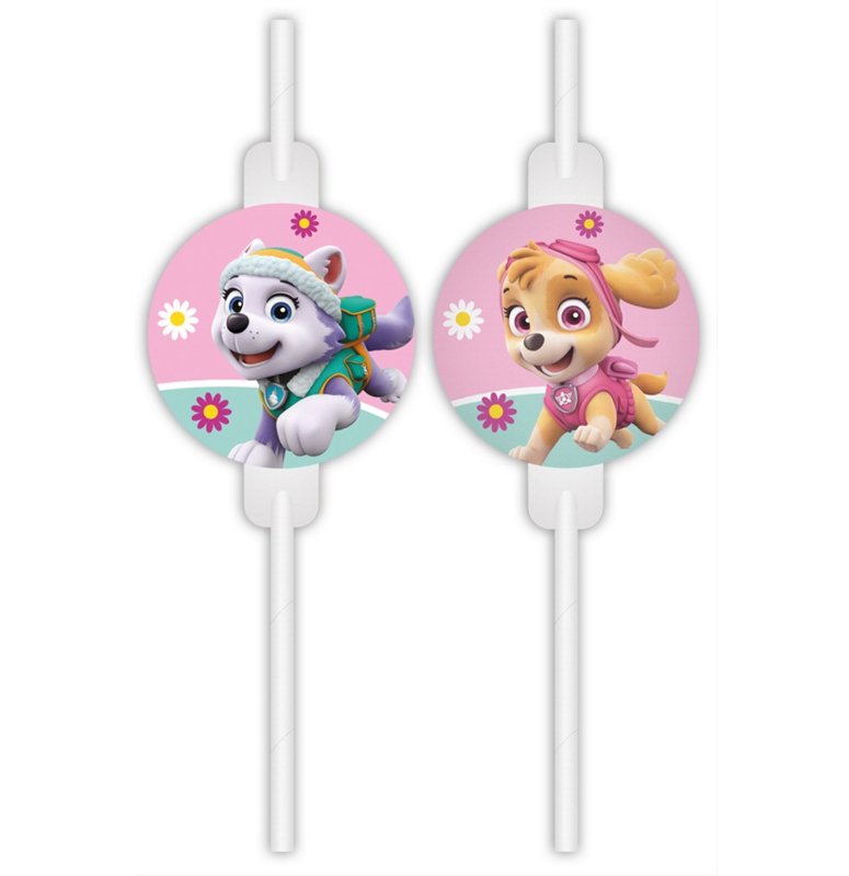 Juomapillit Paw Patrol Skye & Everest - 4-pakkaus