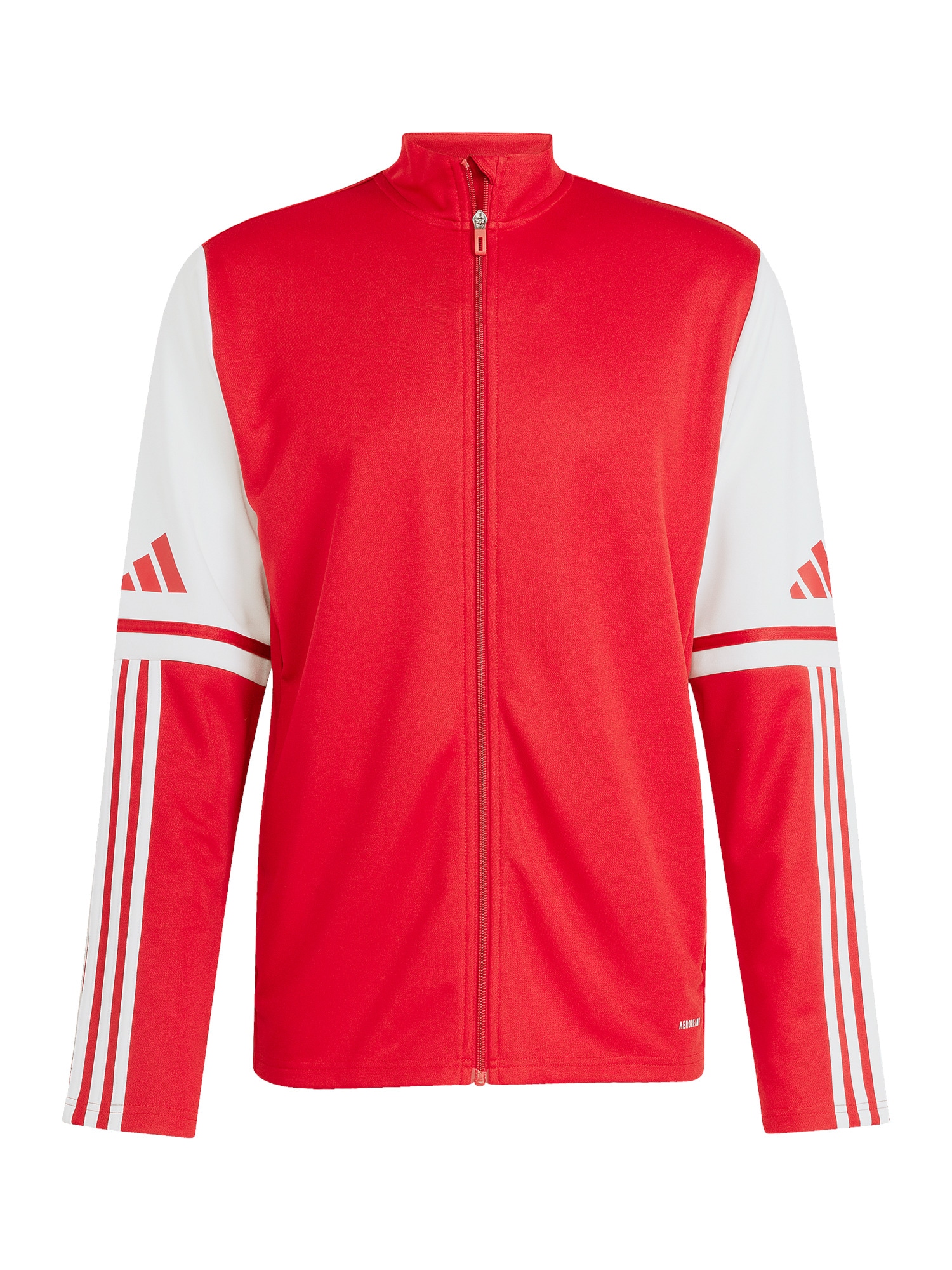 Svetarit adidas Squadra 25 EU L