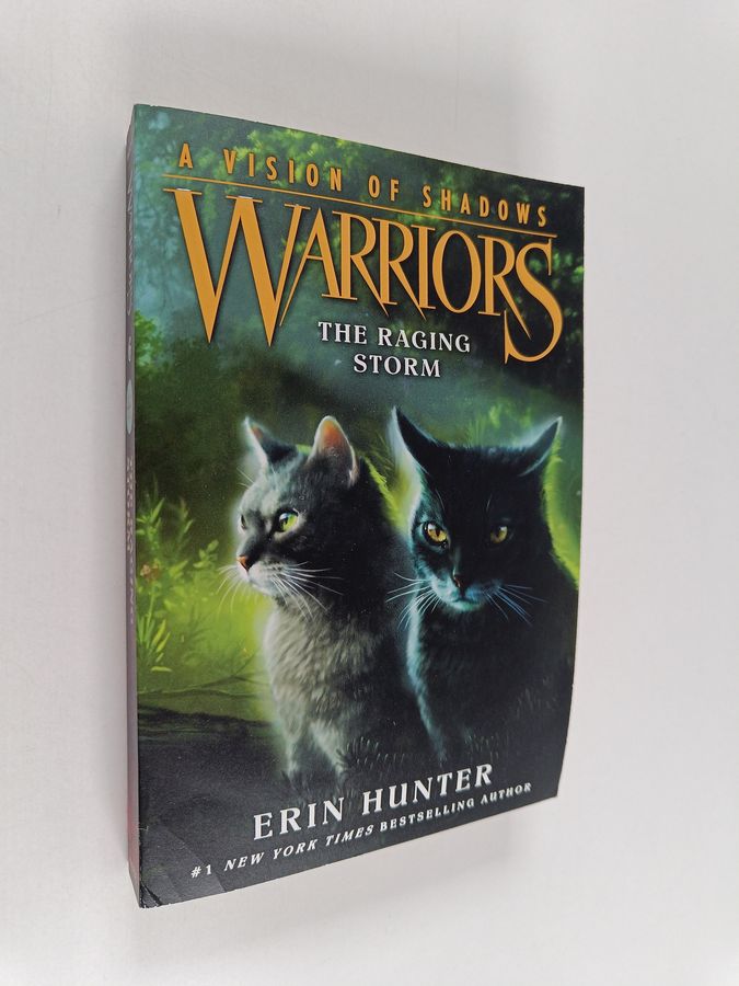 Warriors: A Vision of Shadows #6: The Raging Storm