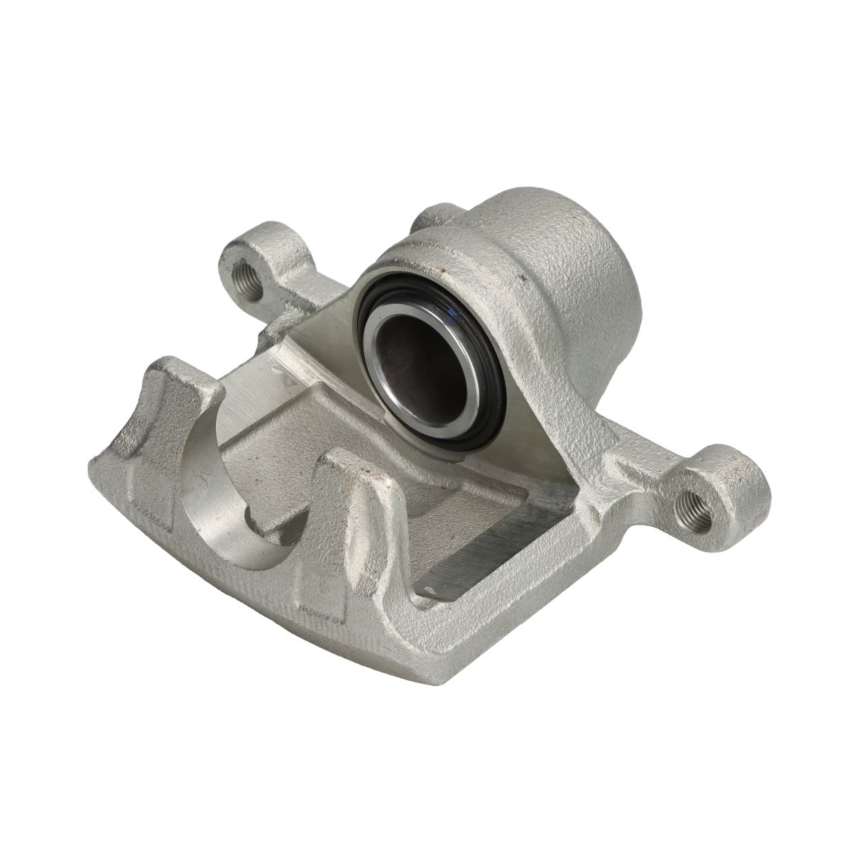 Jarrusatula BUDWEG CALIPER 342347