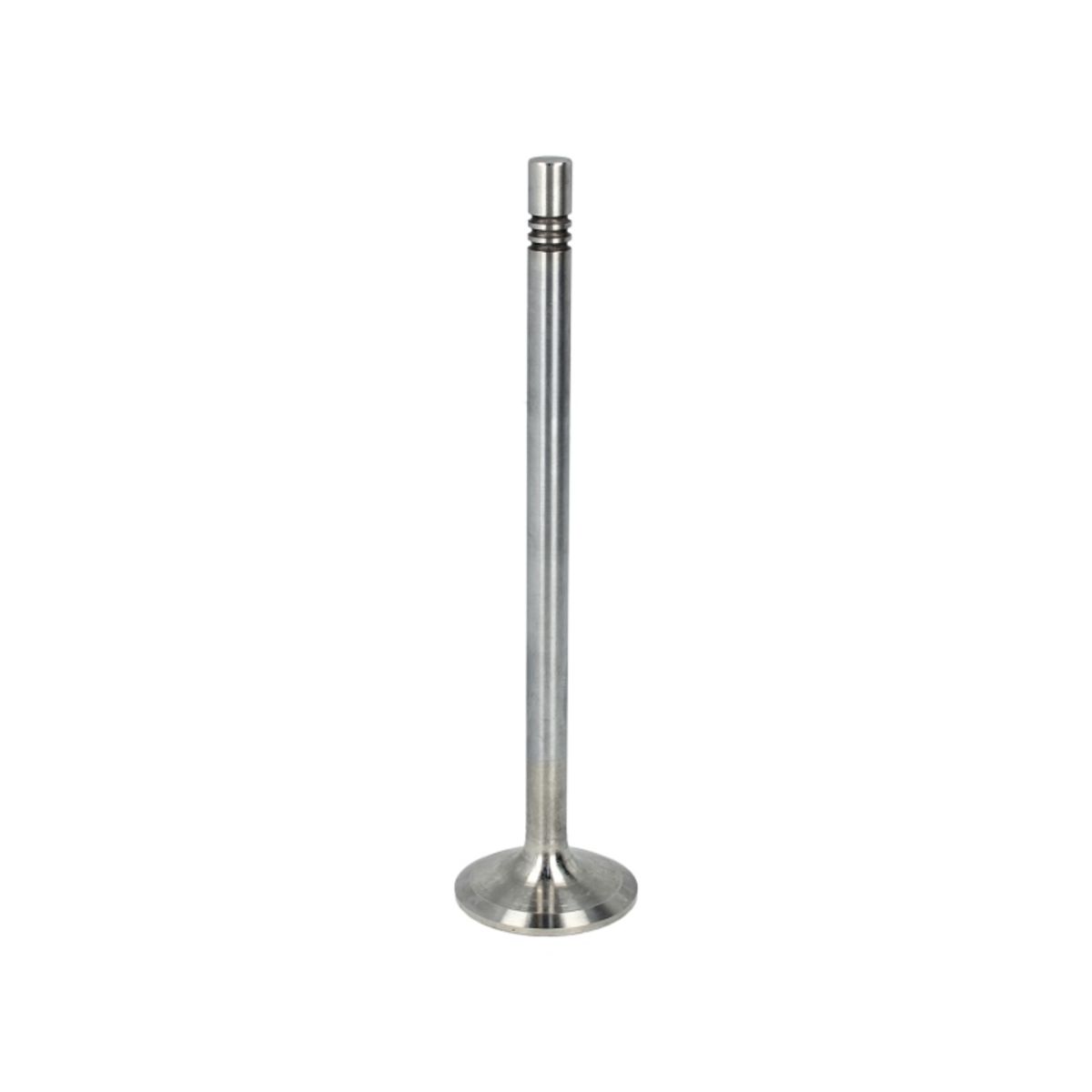 Imuventtiili FRECCIA R6576/BMCR