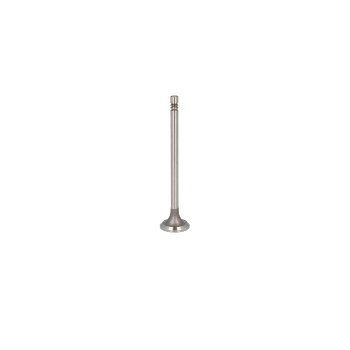 Imuventtiili FRECCIA R6797/S