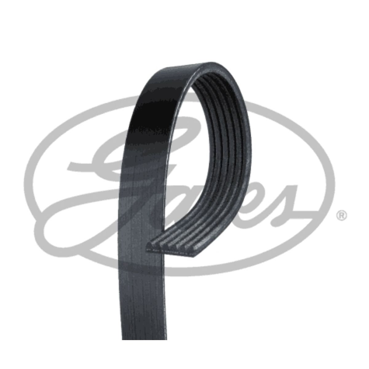 Moniurahihna GATES 6PK923EST