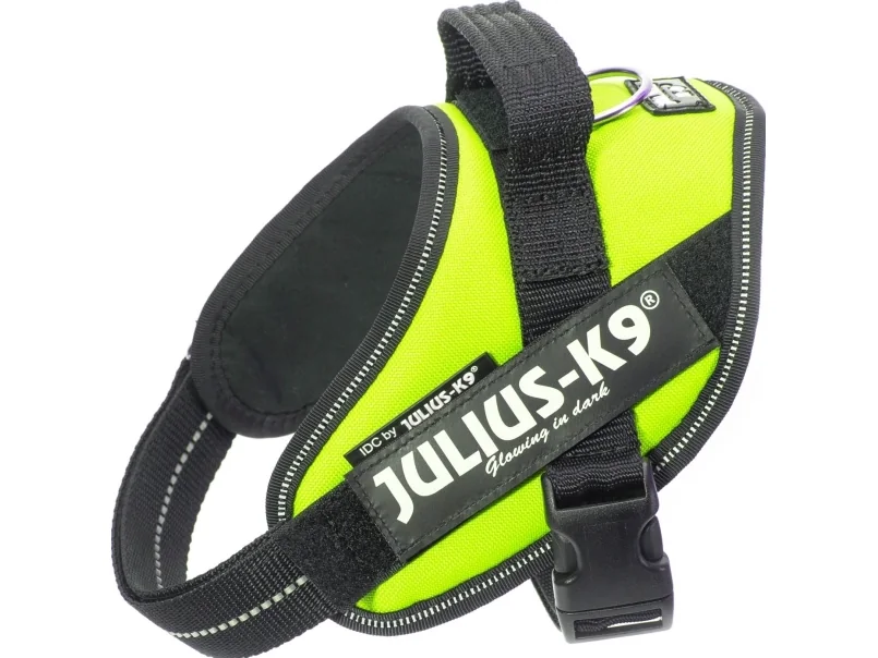 Julius K9 Julius-K9 IDC Mini -valjaat (49-67 cm)