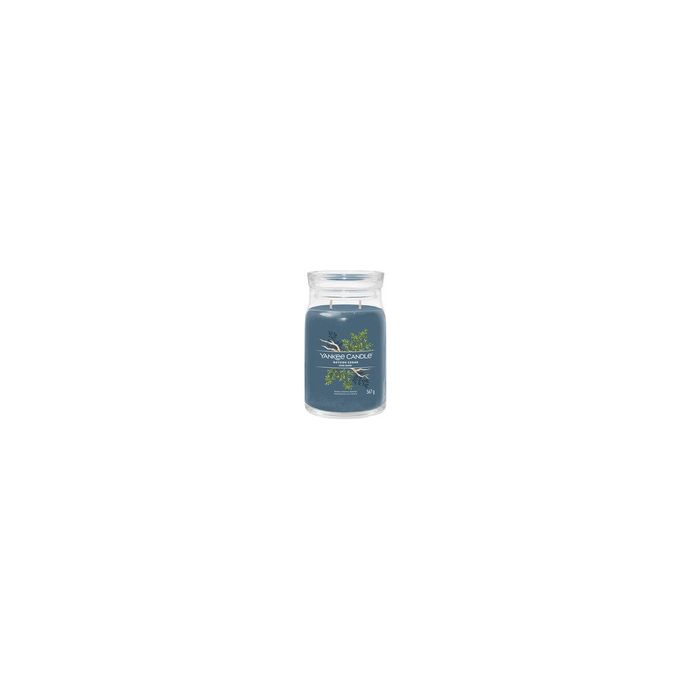 Yankee candle Bayside Cedar Signature kynttilä - 368 g