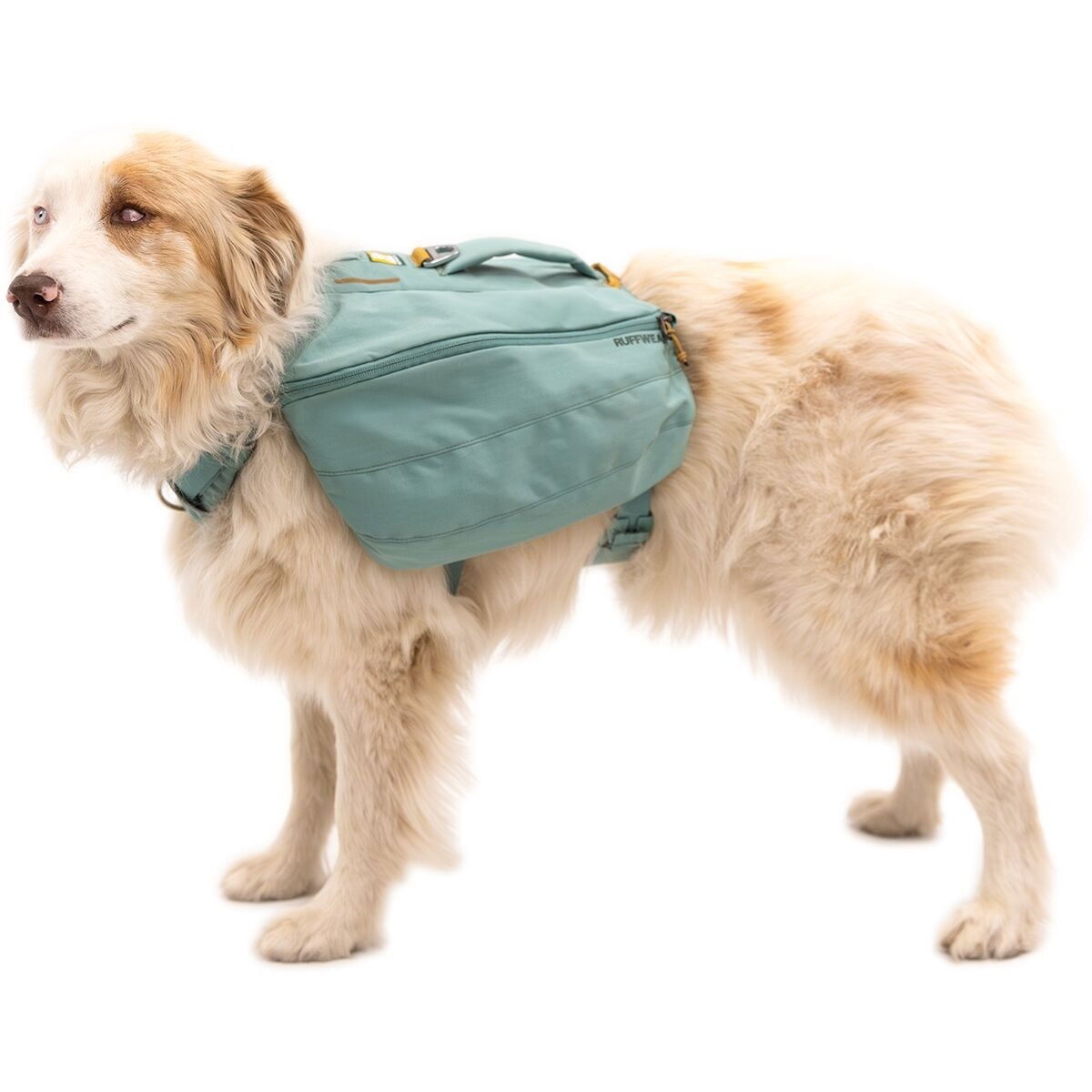 Koiranreppu Ruffwear Front Range, River Rock Green