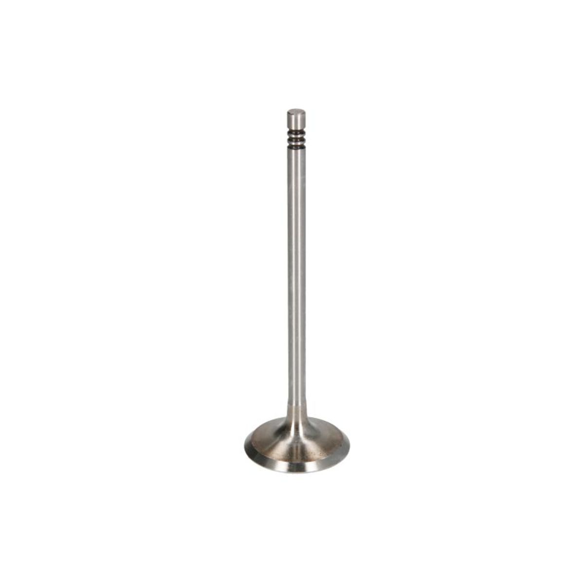 Imuventtiili FRECCIA R6948/S