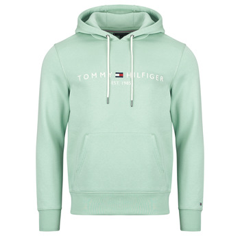 TOMMY HILFIGER Collegepaita  minttu / valkoinen