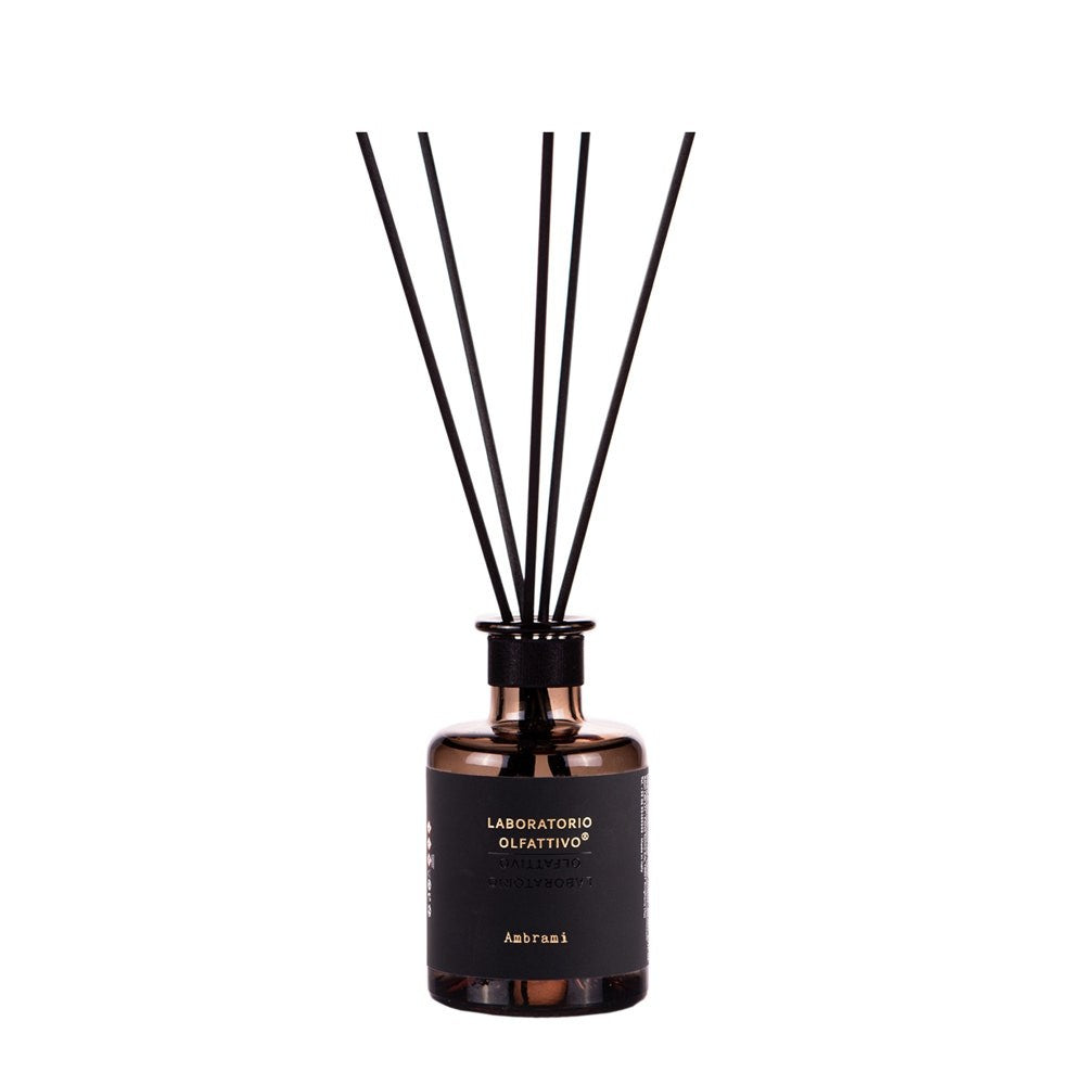 Ambrami hajulaboratorion diffuusori 500 ml