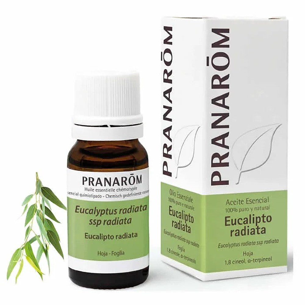 Pranarôm Eteeriset öljyt Eucalyptus Radiata eteerinen öljy 10ml