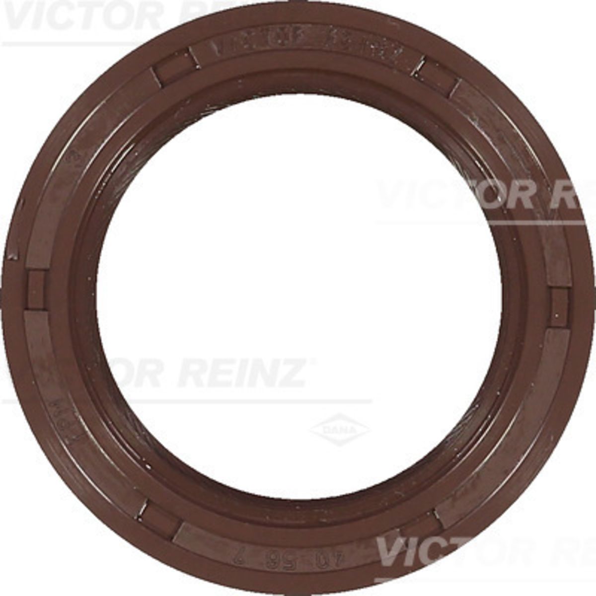 Akselitiiviste, kampiakseli REINZ 81-38093-00