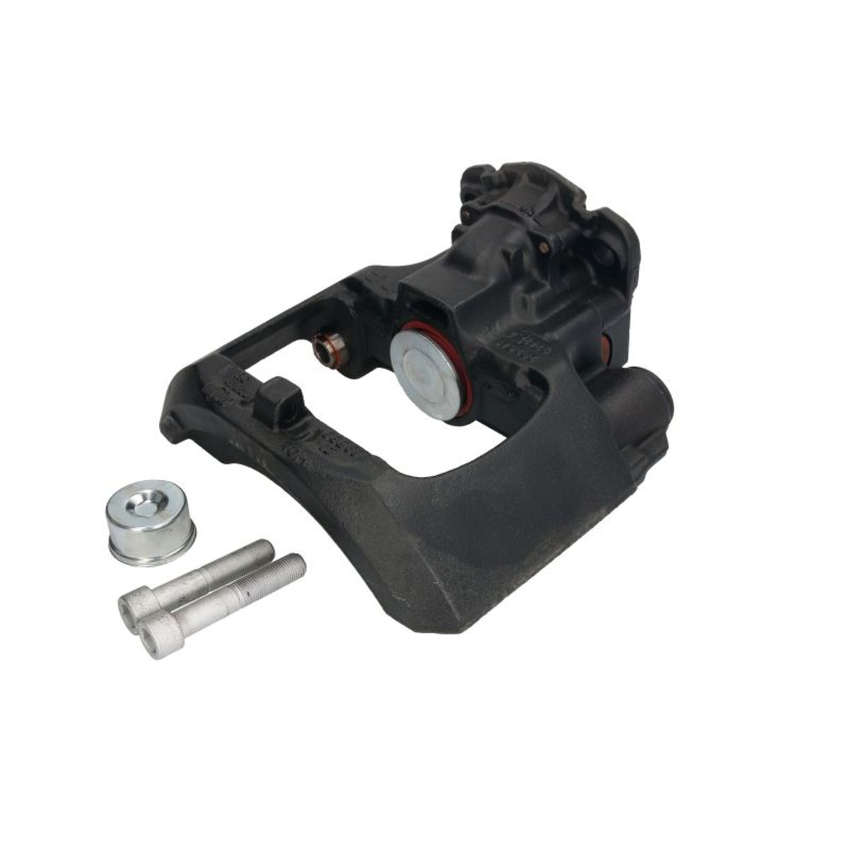 Jarrusatula SBP TEQ-BC.025