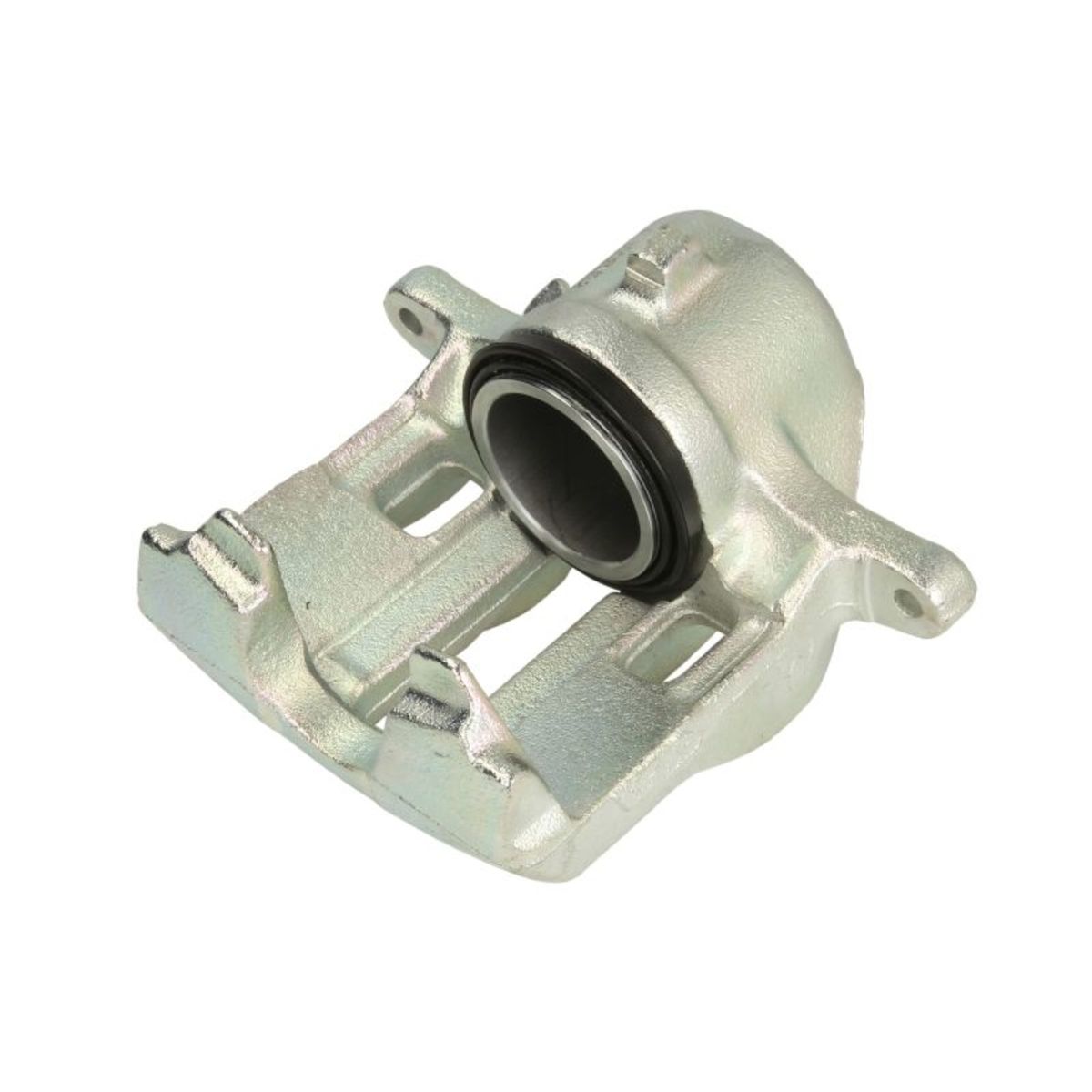 Jarrusatula BUDWEG CALIPER 342394