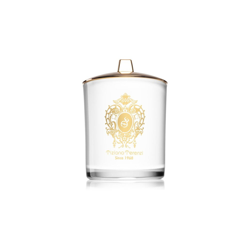Tiziana Terenzi Spicy Snow 900 g