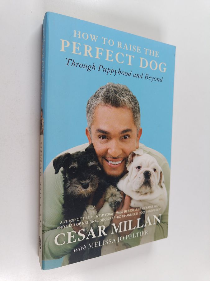 How to Raise the Perfect Dog