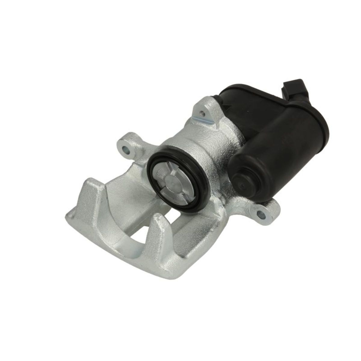 Jarrusatula BUDWEG CALIPER 344272