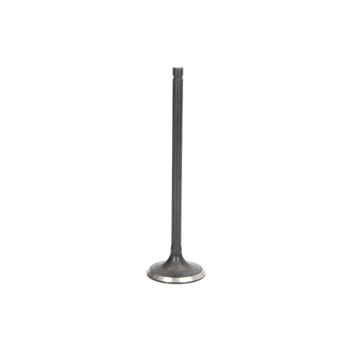 Pakoventtiili FRECCIA R4895/RNT