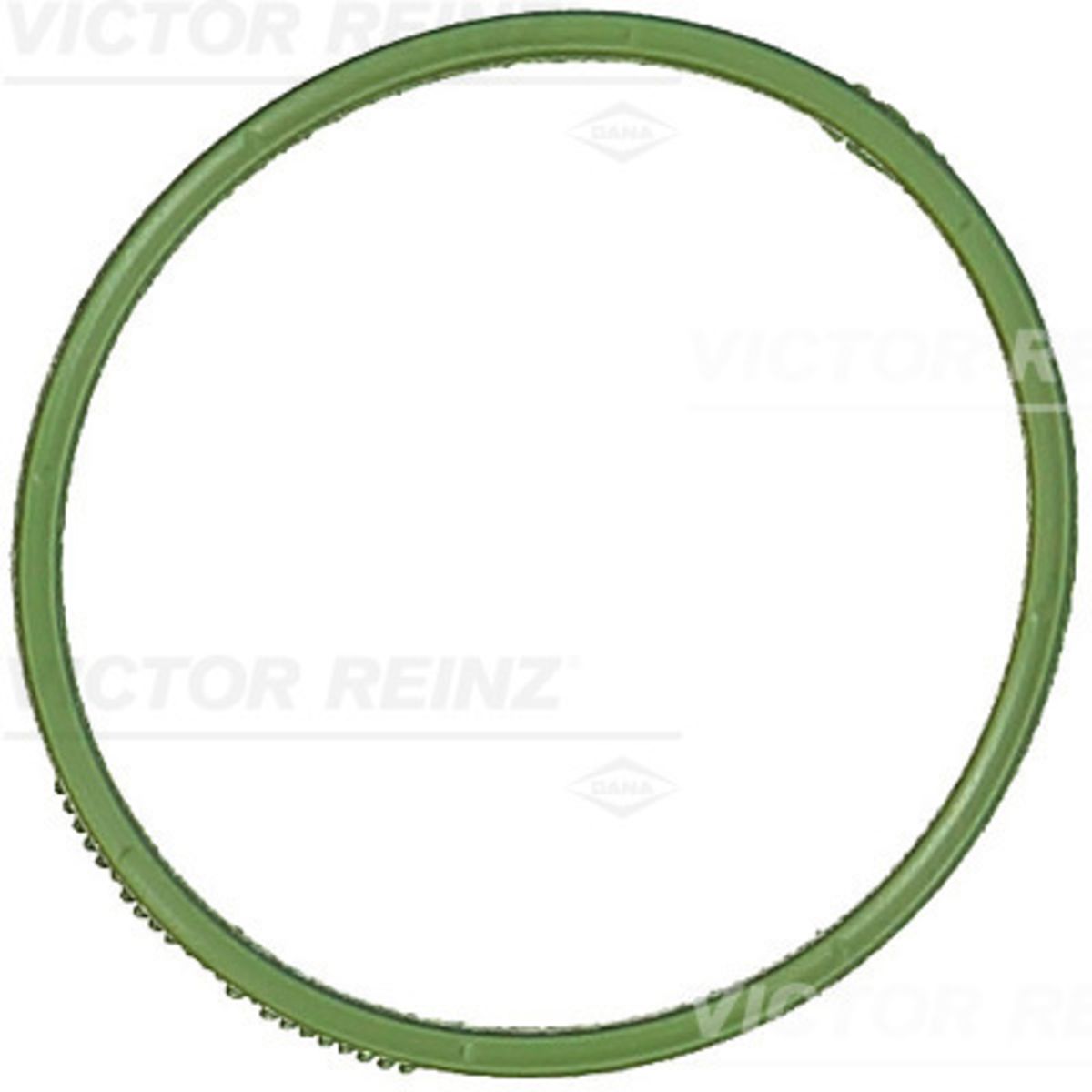 Tiiviste, imusarja REINZ 71-18338-00