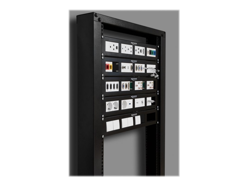 DeLOCK Patch Panel - 2U - 19"