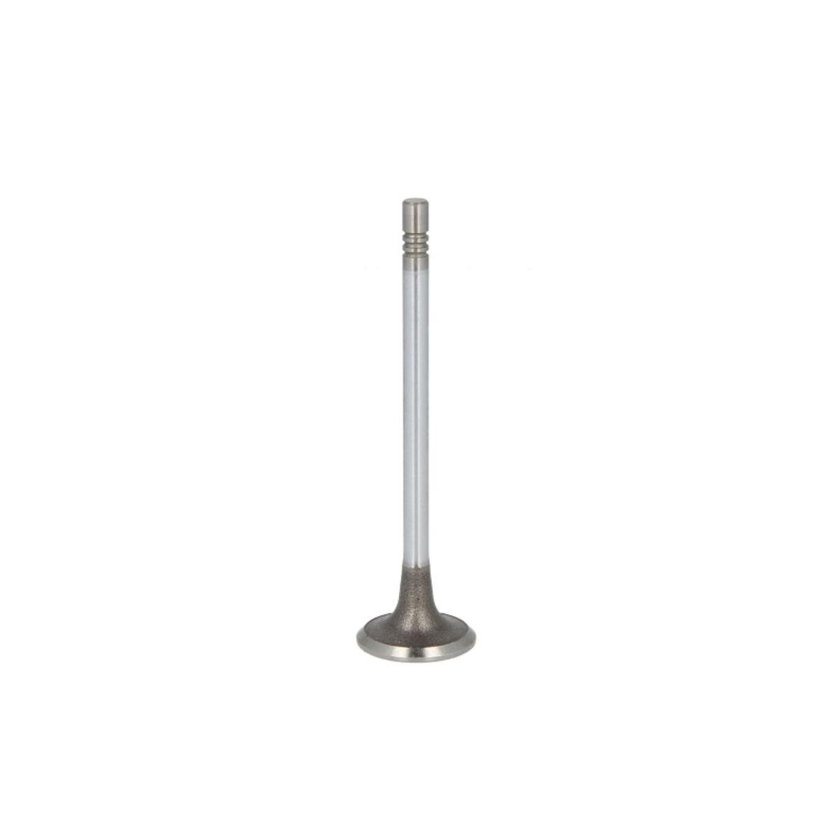 Imuventtiili FRECCIA R6728/SCR