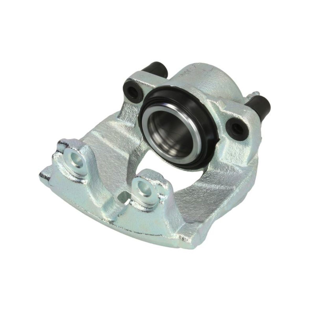 Jarrusatula BUDWEG CALIPER 343719