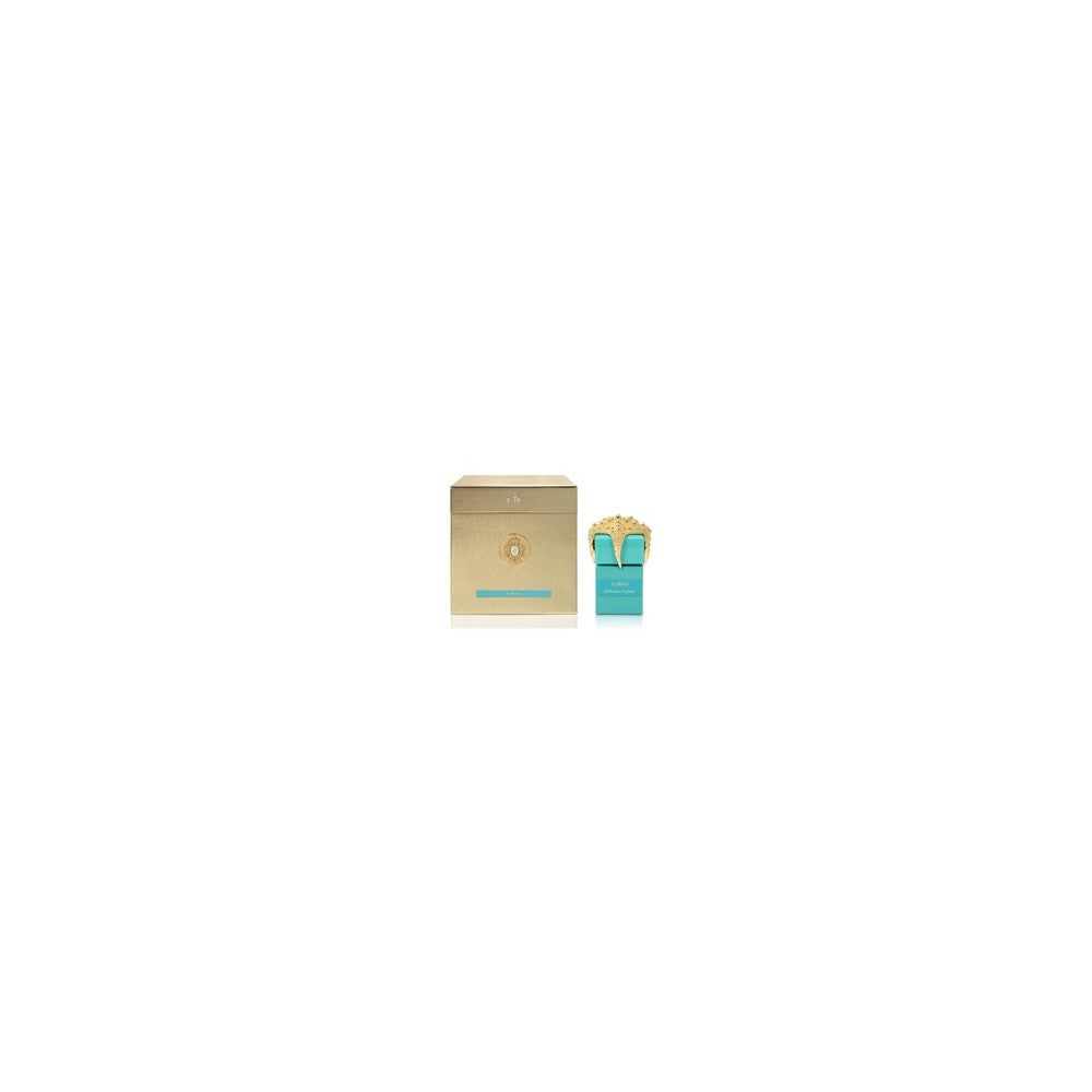Tiziana Terenzi Cubia PAR U 100 ml