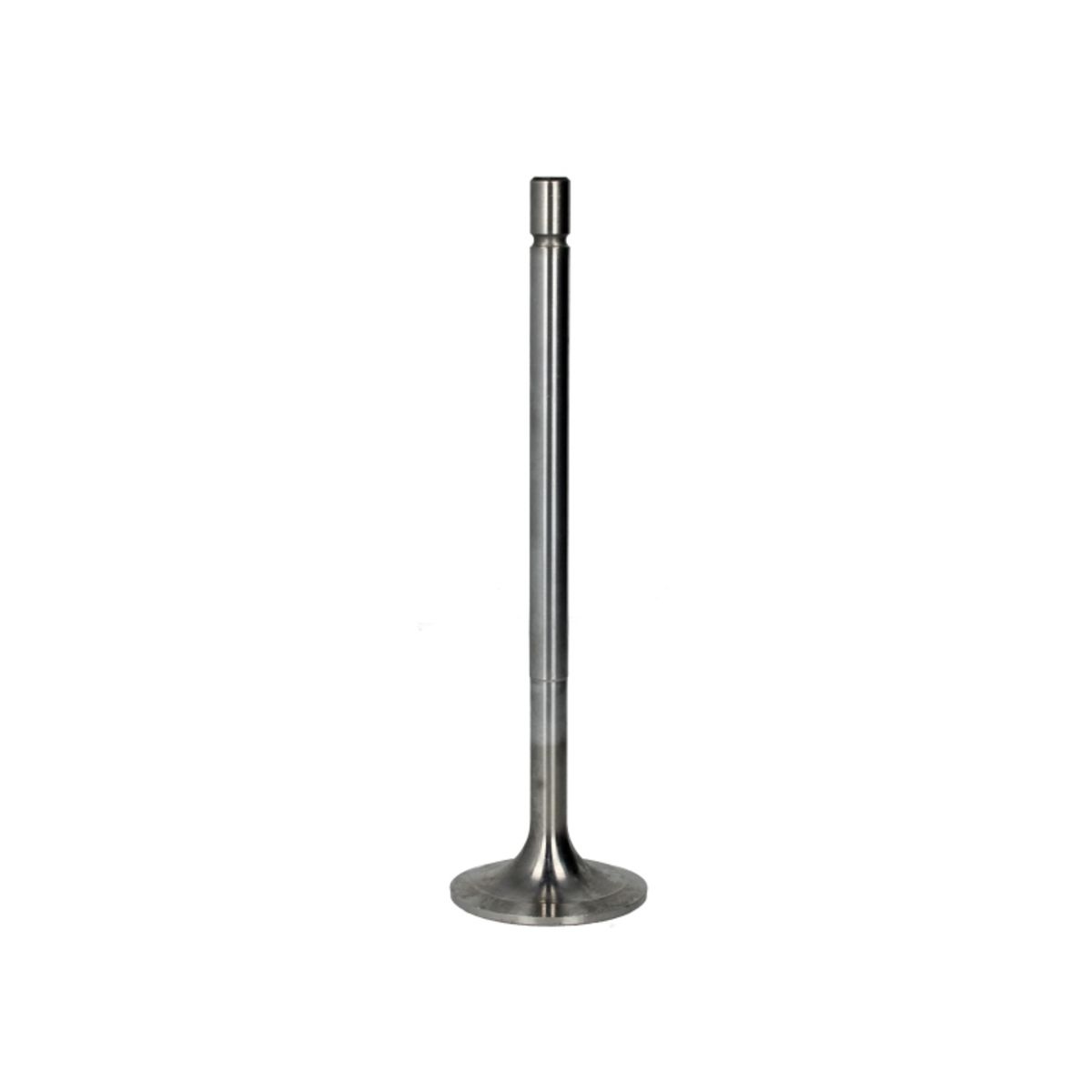 Imuventtiili FRECCIA R6488/SCR